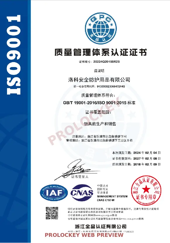 ISO 9001 quality management system certificate protected web preview