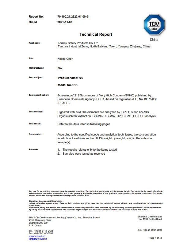 REACH technical report protected web preview