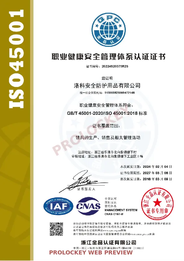 ISO 45001 occupational health and safety certificate protected web preview